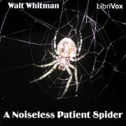 Noiseless Patient Spider