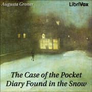 Case of the Pocket Diary Found in the Snow