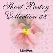 Short Poetry Collection 038