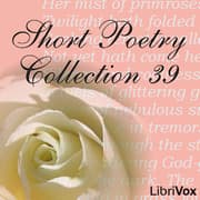 Short Poetry Collection 039